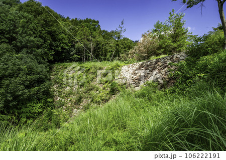 堂々川砂留群　鳶ヶ迫砂留　広島県福山市 106222191