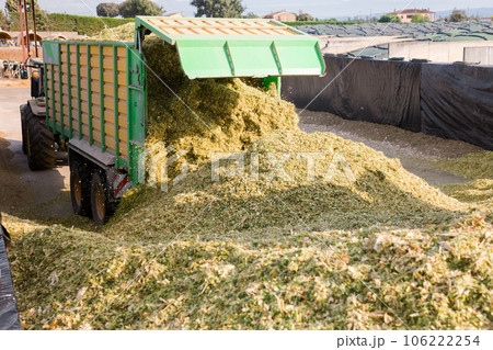 Harvesting of silage 106222254