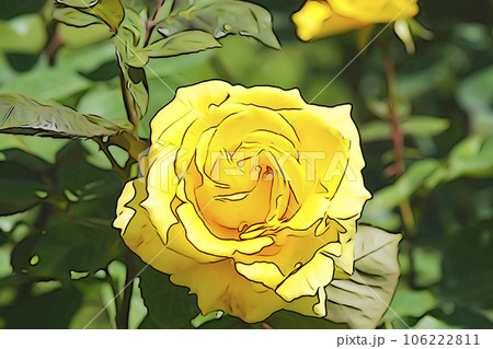 パステル調　”満開のバラの花”　イラストイメージ 106222811