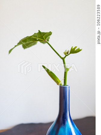 旬を迎えた夏野菜オクラの一輪挿し｜野菜の生け花 106223589