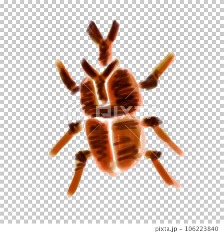 犀牛甲蟲手繪 犀牛甲蟲手繪 106223840