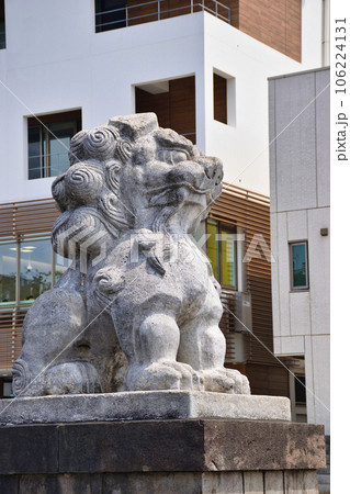 鶴岡八幡宮　二の鳥居の前の狛犬（神奈川県鎌倉市） 106224131