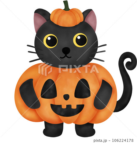 Watercolor Black Cat with Pumpkin Character 106224178