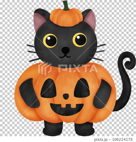 Watercolor Black Cat with Pumpkin Character 106224178