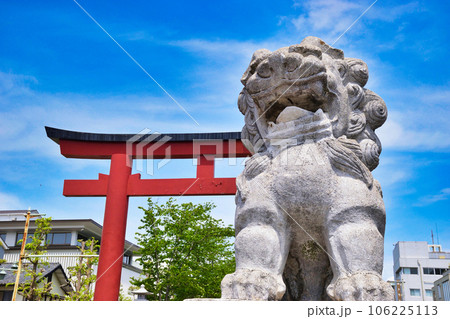 鶴岡八幡宮　二の鳥居と狛犬（神奈川県鎌倉市） 106225113