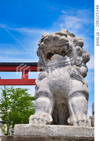 鶴岡八幡宮　二の鳥居と狛犬（神奈川県鎌倉市） 106225146