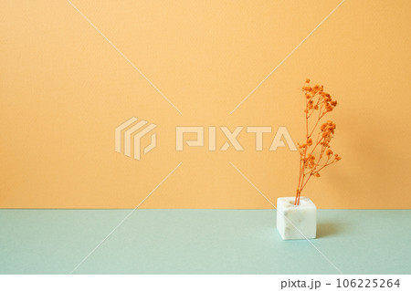 Vase of dry gypsophila flower on mint green table. orange wall background. copy space Vase of dry gypsophila flower on mint green table. orange wall background. copy space 106225264