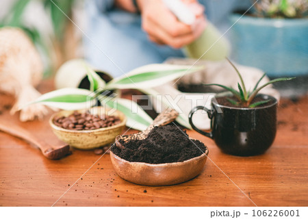 Using used coffee grounds as fertilizer Using used coffee grounds as fertilizer 106226001