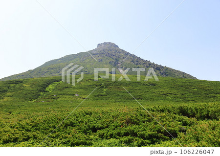 羅臼平より望む日本百名山 羅臼岳 山頂 羅臼平より望む日本百名山 羅臼岳 山頂 106226047