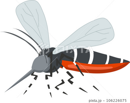 Aedes Mosquito Vector Illustration. Zika, Dengue, Chikungunya Threat. Disease Spreading Insect. Tropical Disease Carrier 106226075