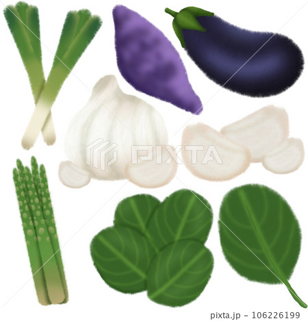 set of fresh vegetables 106226199