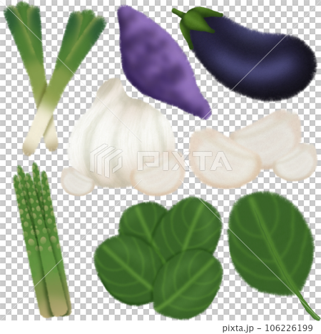 set of fresh vegetables 106226199