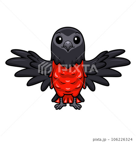 Cute pesquet's parrot parrot flying 106226324