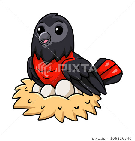 Cute pesquet's parrot parrot with eggs in the nest Cute pesquet's parrot parrot with eggs in the nest 106226340