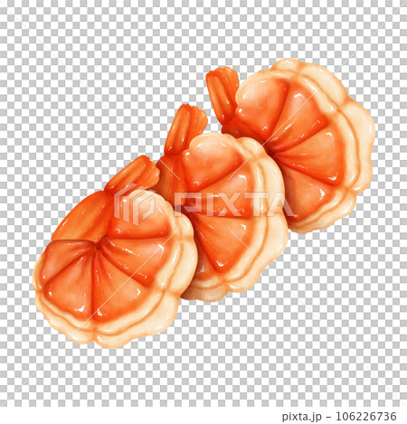 shrimp drawings on white background. shrimp drawings on white background. 106226736