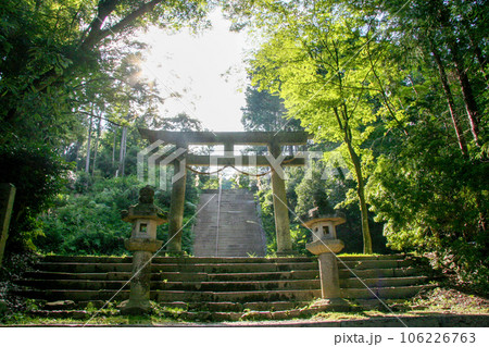 古い神社の参道 106226763