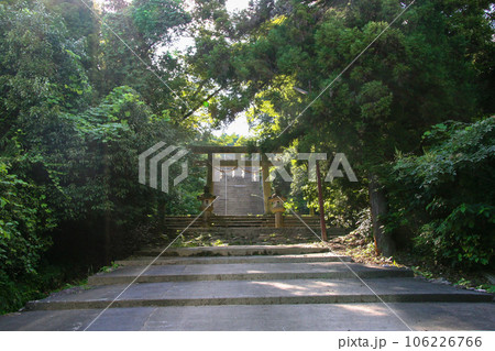 近江坂本・日吉東照宮の参道 106226766