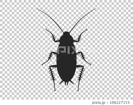 illustration of cockroach silhouette 106227153
