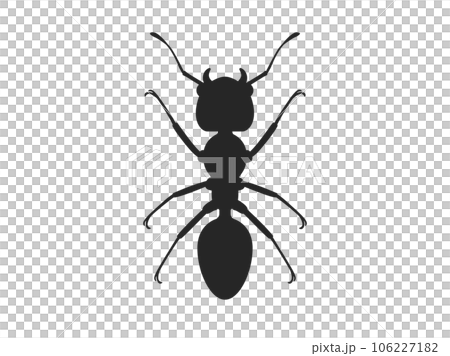 螞蟻剪影的插圖 106227182