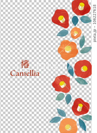 Watercolor style _ modern camellia, camellia frame background illustration 106227618