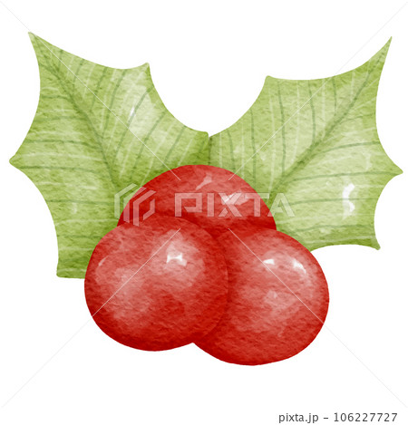 Christmas Elements Set realistic watercolor style painting 106227727