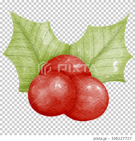 Christmas Elements Set realistic watercolor style painting 106227727