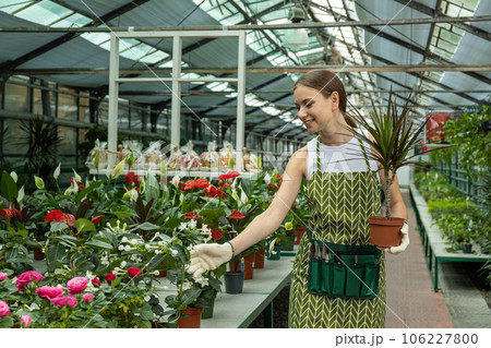 A young girl takes care of indoor plants in a greenhouse. 106227800