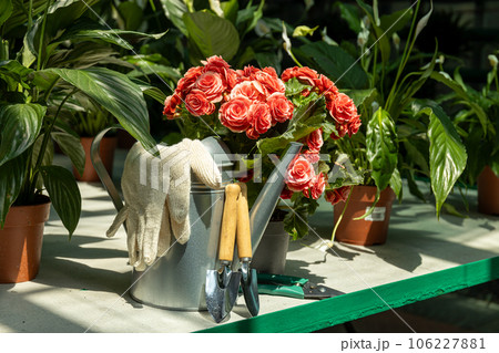 Tools for plant care, for watering, trimming, fluffing. On the waist cover. Tools for plant care, for watering, trimming, fluffing. On the waist cover. 106227881