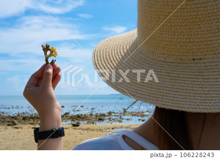 珊瑚の欠片 珊瑚の欠片 106228243