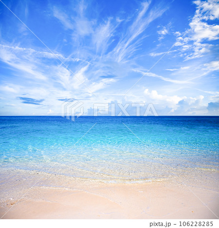 Image photo 106228285