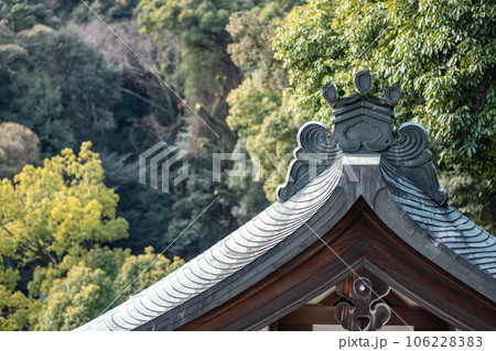 香川県金刀比羅宮の御本宮 香川県金刀比羅宮の御本宮 106228383