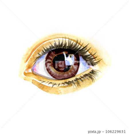 Watercolor artwork of eye. Hand drawn illustration Watercolor artwork of eye. Hand drawn illustration 106229631