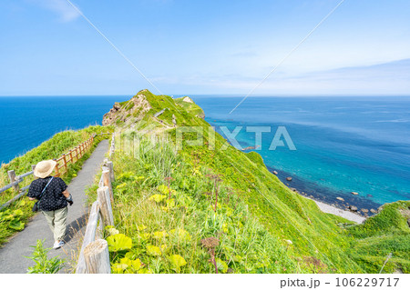 神威岬　積丹半島 女性 後ろ姿 106229717