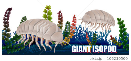 Giant Isopod Deep Sea Creature 106230500