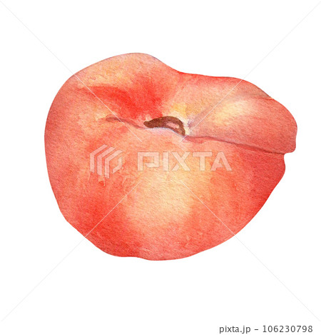 Chinese flat fig peach pink watercolor illustration isolated on white. Watercolor painted pink fruits drawing. Food illustration hand drawn, design element for package, label Chinese flat fig peach pink watercolor illustration isolated on white. Watercolor painted pink fruits drawing. Food illustration hand drawn, design element for package, label 106230798