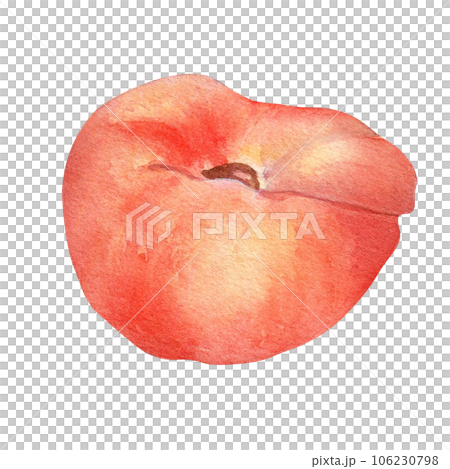 Chinese flat fig peach pink watercolor illustration isolated on white. Watercolor painted pink fruits drawing. Food illustration hand drawn, design element for package, label Chinese flat fig peach pink watercolor illustration isolated on white. Watercolor painted pink fruits drawing. Food illustration hand drawn, design element for package, label 106230798