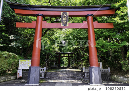 東京都杉並区　大宮八幡宮　表参道の第一鳥居　源頼朝により建設 106230852