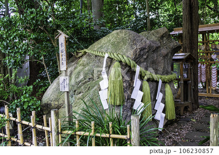 東京都杉並区　大宮八幡宮　南参道の幸福がえる　源頼朝により建設 106230857