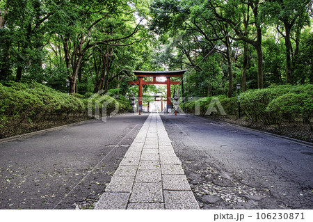 東京都杉並区　大宮八幡宮　表参道 　源頼朝により建設 106230871