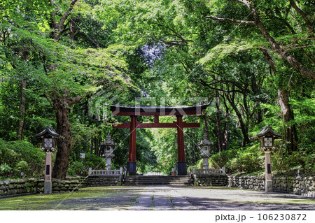 東京都杉並区　大宮八幡宮　表参道　第二鳥居 　源頼朝により建設 106230872