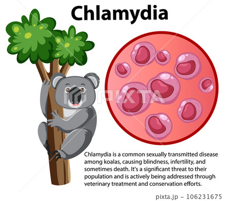Chlamydia trachomatis with explanation 106231675