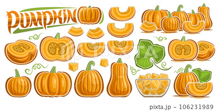 Vector Pumpkin Set 106231989