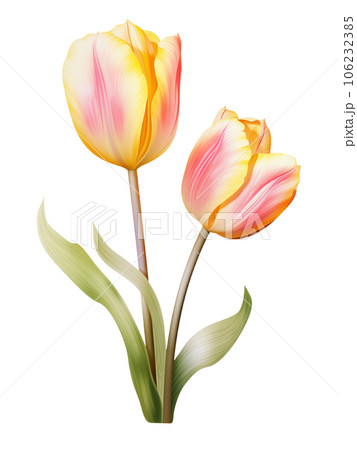 AI Genarative bouquet Tulip flower pastel watercolor style AI Genarative bouquet Tulip flower pastel watercolor style 106232385