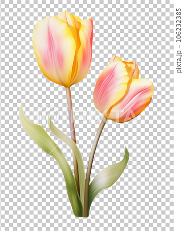 AI Genarative bouquet Tulip flower pastel watercolor style AI Genarative bouquet Tulip flower pastel watercolor style 106232385