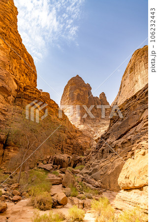 ジャバル・イクマ(サウジアラビア、アル・ウラ) 106232443