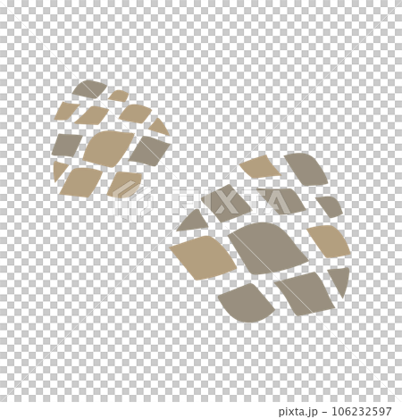 illustration of pine cone 106232597