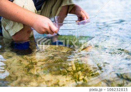 干潟を散策 106232815