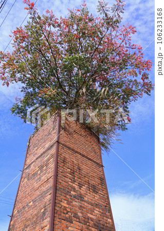 常滑市　常滑やきもの散歩道 106233168