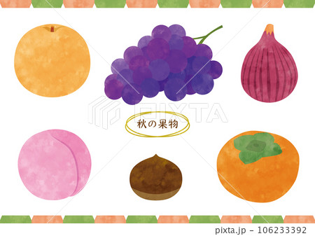 手描き風秋の果物のかわいいイラスト素材 106233392