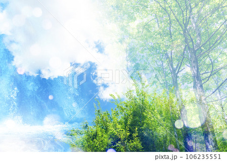 爽やかな森の風景 爽やかな森の風景 106235551